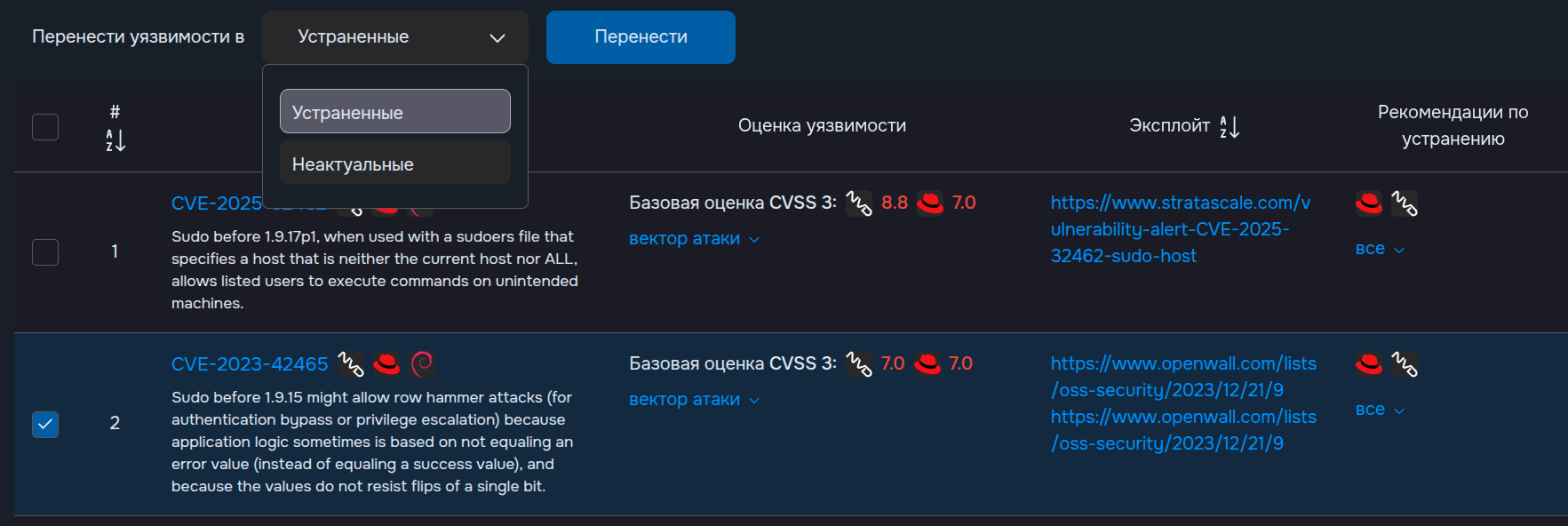 Детализация уязвимостей и разметка — пример интерфейса